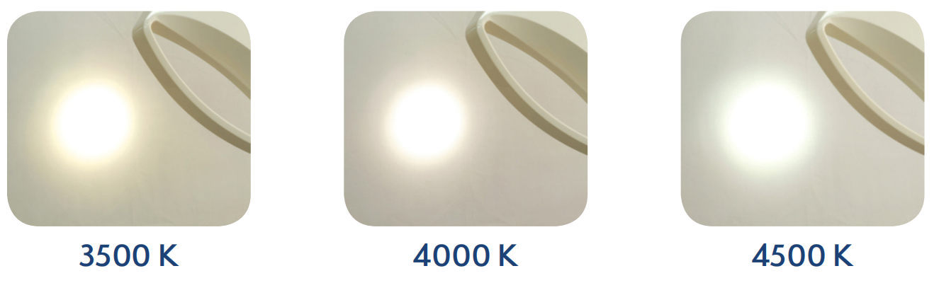 Luvis E100 Campo focale